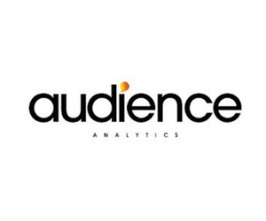 Audience Analystics