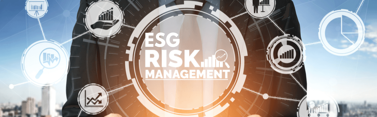 ESG Risk ESG Risk