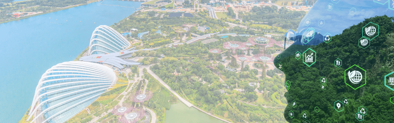 Singapore due diligence process Singapore due diligence process