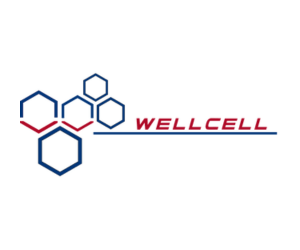 WellCell Holdings Co., Limited WellCell Holdings Co., Limited