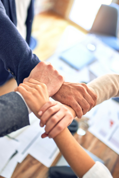 corporate governance advisory services